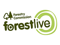 forest live